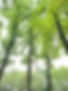 166697310_4013635765359440_5572903935060