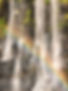 92847738_3014964888559871_42520329947279