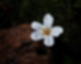 93423808_3026293210760372_33113085627429