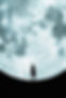 moon.jpg
