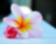 thumbnail_image11.jpg