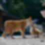 thumbnail_image3 (1).jpg